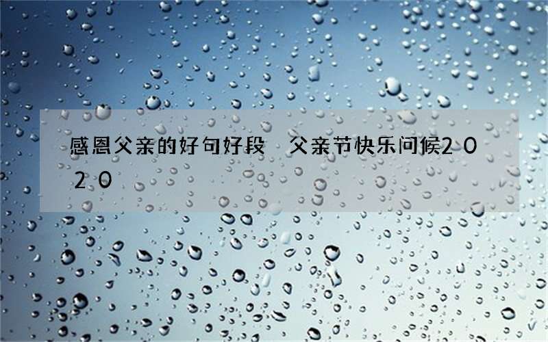 感恩父亲的好句好段 父亲节快乐问候2020
